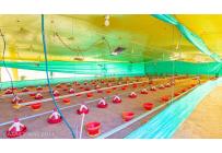 Fincas y Casas Campestres, Venta, Santander de Quilichao - $4.500.000.000