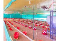 Fincas y Casas Campestres, Venta, Santander de Quilichao - $4.500.000.000