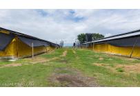 Fincas y Casas Campestres, Venta, Santander de Quilichao - $4.500.000.000