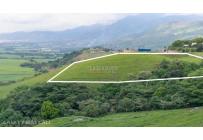Lotes, Venta, Palmira - $650.000.000