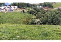 Lotes, Venta, Palmira - $650.000.000