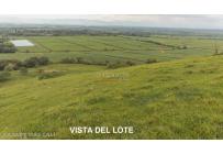 Lotes, Venta, Palmira - $650.000.000