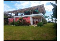 Fincas y Casas Campestres, Venta, Ginebra - $550.000.000