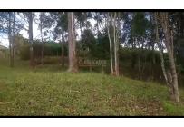 Fincas y Casas Campestres, Venta, Ginebra - $550.000.000