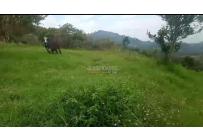 Fincas y Casas Campestres, Venta, Ginebra - $550.000.000