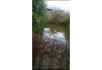 Fincas y Casas Campestres, Venta, Ginebra - $550.000.000