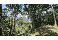 Lotes, Venta, Dagua - $300.000.000