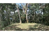 Lotes, Venta, Dagua - $300.000.000