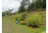 Fincas y Casas Campestres, Venta, Dagua - $385.000.000