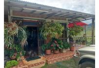 Fincas y Casas Campestres, Venta, Dagua - $385.000.000