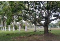 Casas, Venta, Jamundí - $3.700.000.000