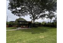 Casas, Venta, Palmira - $1.250.000.000