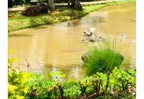 Casas, Alquiler, Pance - $10.500.000