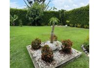 Casas, Alquiler, Pance - $15.000.000