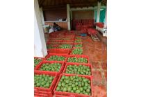 Fincas y Casas Campestres, Venta, Calima (Darién) - $1.850.000.000