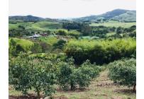 Fincas y Casas Campestres, Venta, Calima (Darién) - $1.850.000.000