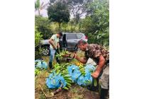 Fincas y Casas Campestres, Venta, Calima (Darién) - $1.850.000.000