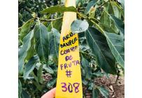 Fincas y Casas Campestres, Venta, Calima (Darién) - $1.850.000.000