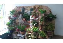 Casas, Venta, Jamundí - $900.000.000