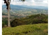 Lotes, Venta, La Cumbre - $250.000.000