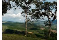 Lotes, Venta, La Cumbre - $250.000.000