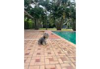 Fincas y Casas Campestres, Alquiler, Jamundí - $1.200.000