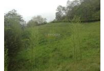 Lotes, Venta, Dagua - $455.000.000