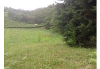 Lotes, Venta, Dagua - $455.000.000