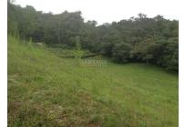 Lotes, Venta, Dagua - $455.000.000