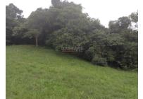 Lotes, Venta, Dagua - $455.000.000