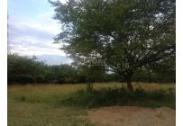 Lotes, Venta, Pance - $3.037.000.000