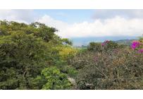 Lotes, Venta, Calima (Darién) - $150.000.000