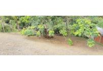 Lotes, Venta, Calima (Darién) - $150.000.000