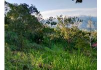 Lotes, Venta, Cristo Rey - $290.000.000