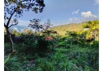 Lotes, Venta, Cristo Rey - $290.000.000