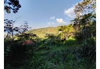 Lotes, Venta, Cristo Rey - $290.000.000