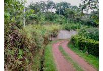 Lotes, Venta, Cristo Rey - $290.000.000