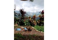 Lotes, Venta, Cristo Rey - $290.000.000