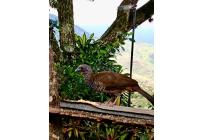 Lotes, Venta, Cristo Rey - $290.000.000