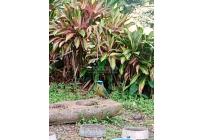 Lotes, Venta, Cristo Rey - $290.000.000