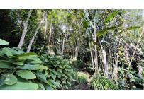 Fincas y Casas Campestres, Venta, Dapa - $1.447.000.000