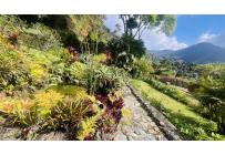 Fincas y Casas Campestres, Venta, Dapa - $1.447.000.000