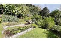 Fincas y Casas Campestres, Venta, Dapa - $1.447.000.000