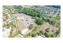 Casas, Venta, Carmen de Apicala - $348.090.420