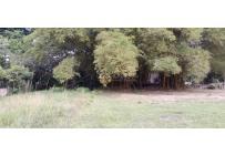 Lotes, Venta, Pance - $10.087.000.000