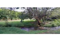 Lotes, Venta, Pance - $10.087.000.000