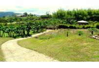Fincas y Casas Campestres, Venta, Calima (Darién) - $850.000.000