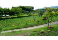 Fincas y Casas Campestres, Venta, Calima (Darién) - $850.000.000