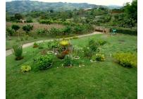 Fincas y Casas Campestres, Venta, Calima (Darién) - $850.000.000