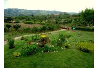 Fincas y Casas Campestres, Venta, Calima (Darién) - $850.000.000